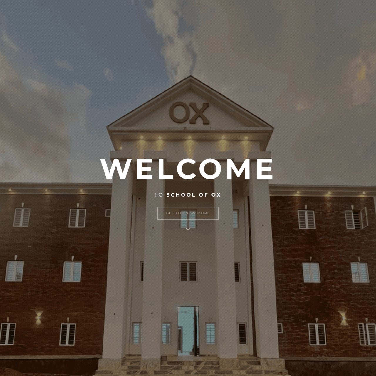 School of Ox website on desktop